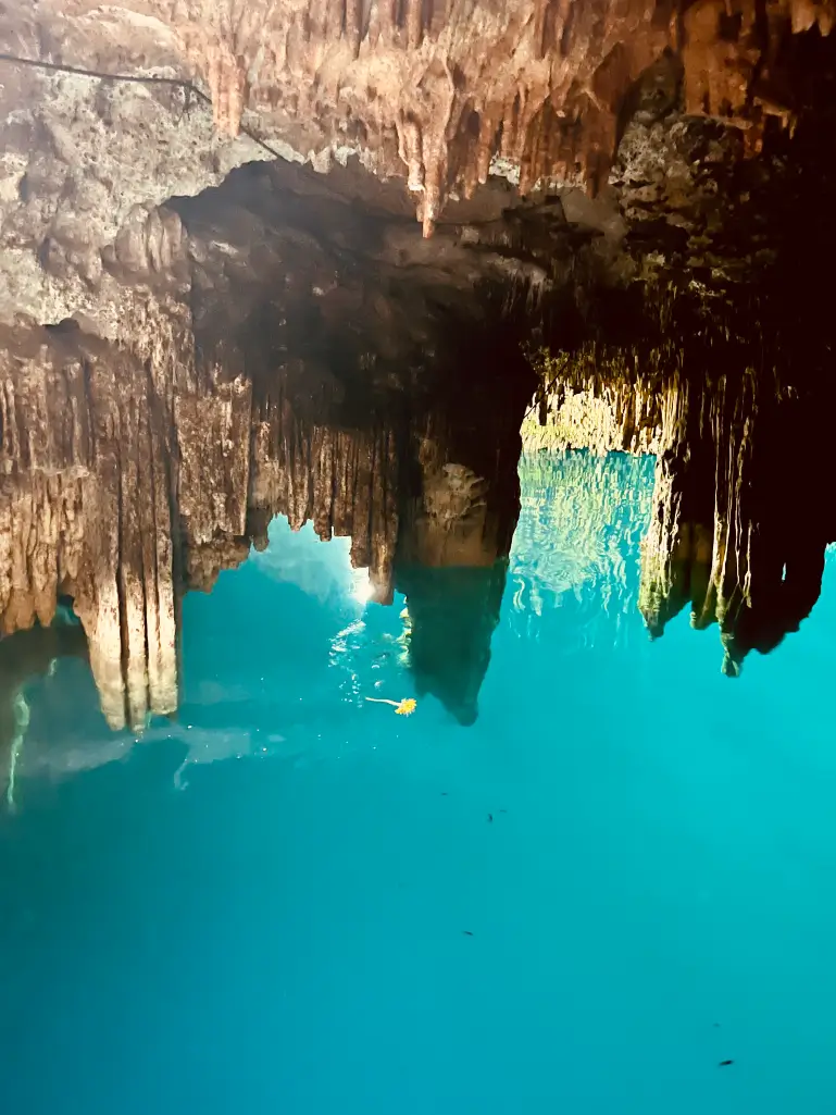 Mayan Cenote Exploration