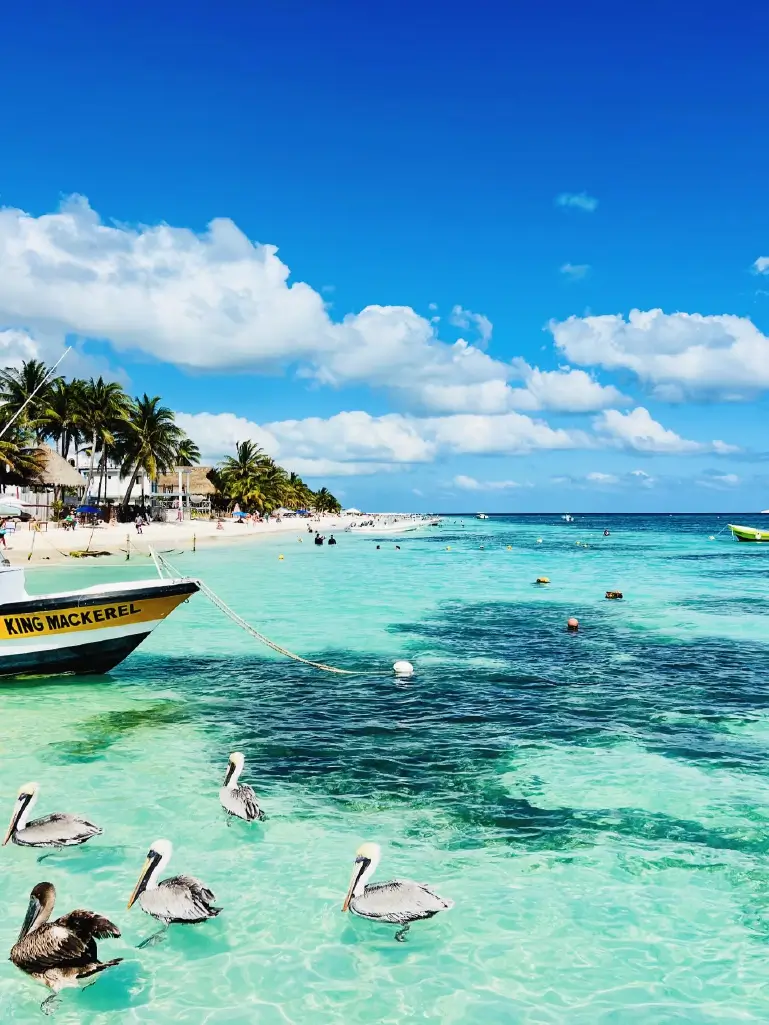 Puerto Morelos Beach Escape