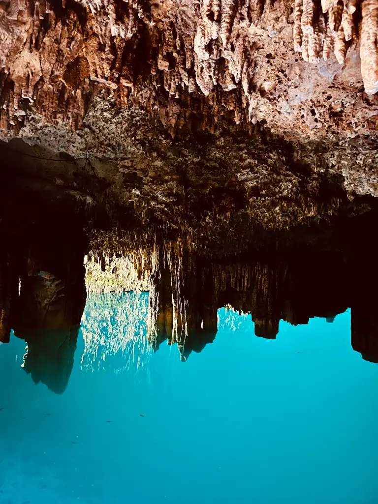 Turquoise Cenote Serenity