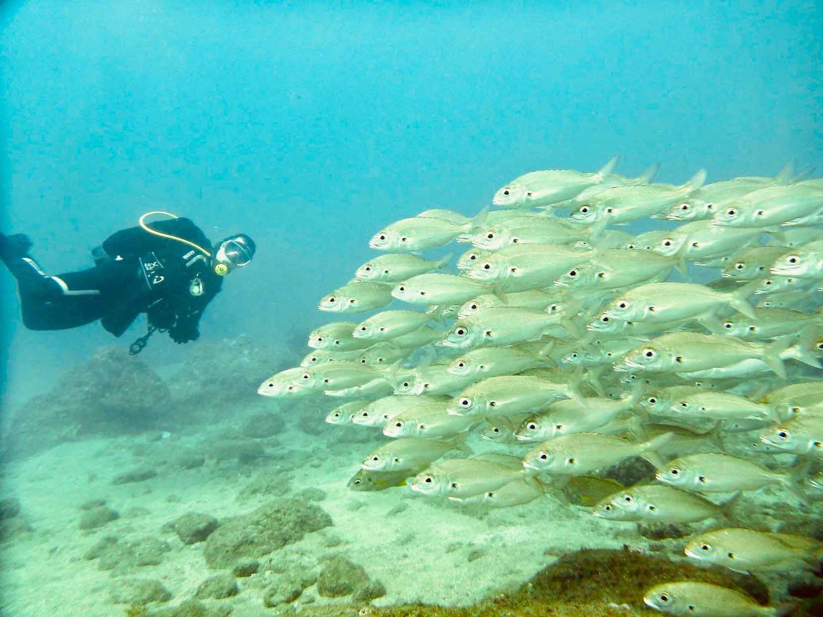 Gran Canaria Mirko Friebe underwater life